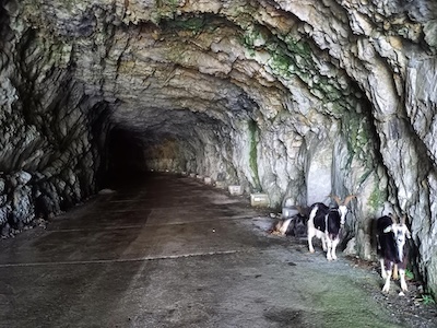 Image of Col d'Aubisque